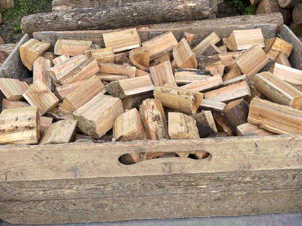 Softwood Logs