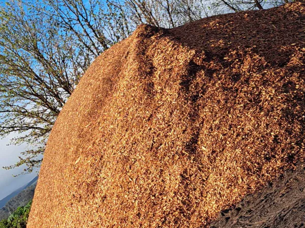 Woodchip